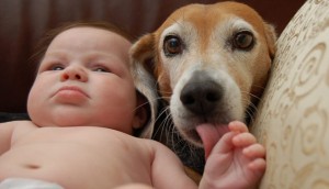 t1larg.baby.dog.gi