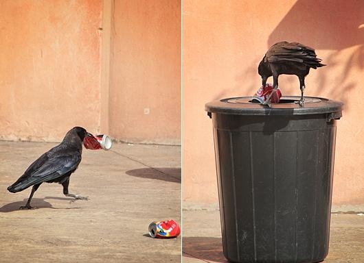 2b1ebc80-8c1b-4925-bf72-09852a63cf5d-large